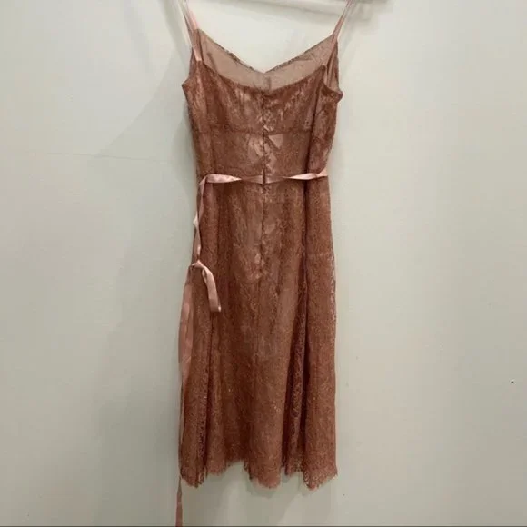 Ann Taylor Pink Lace Sheath Ribbon Dress - Picture 8 of 9